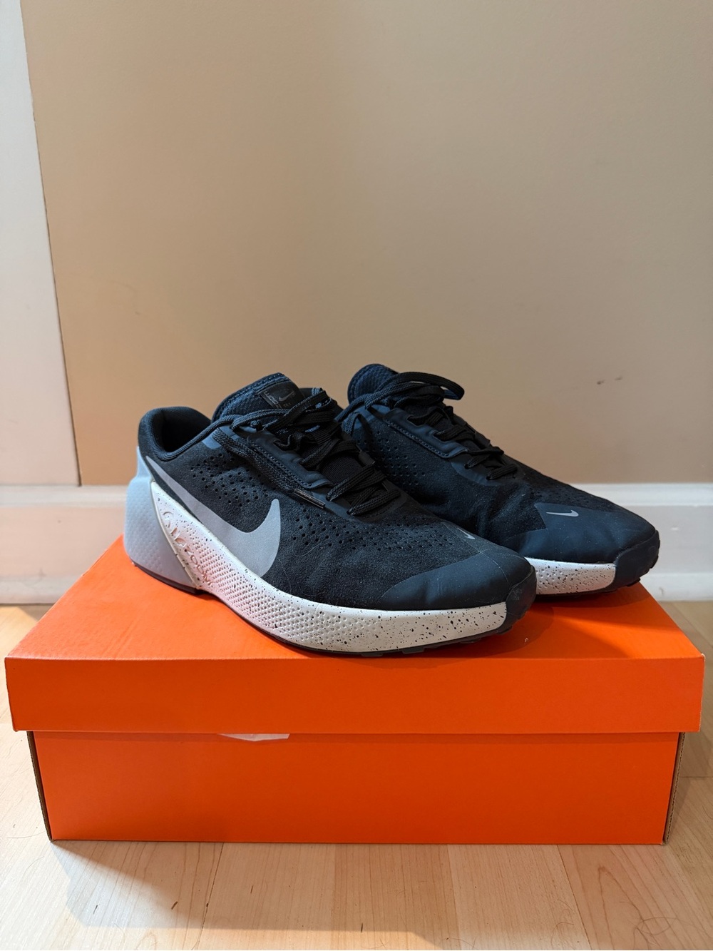 Nike Men's Zoom Trainer